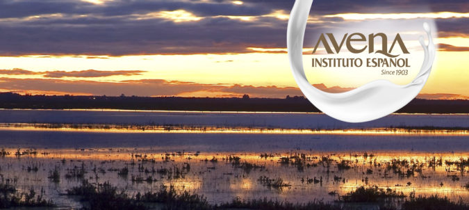 Avena sostenible